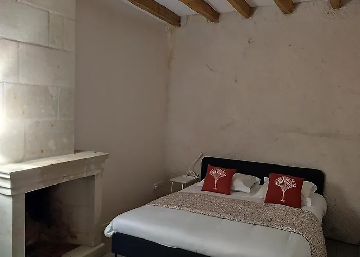 Logis Troglodyte Cosy&vue Sur La Loire Hébergement de vacances Souzay-Champigny